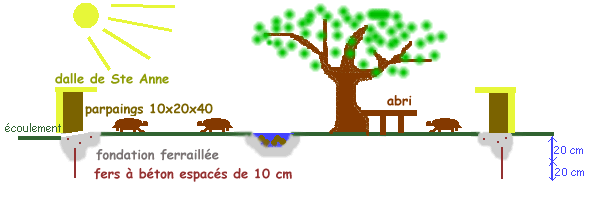 Construction d'un parc pour tortues terrestres
